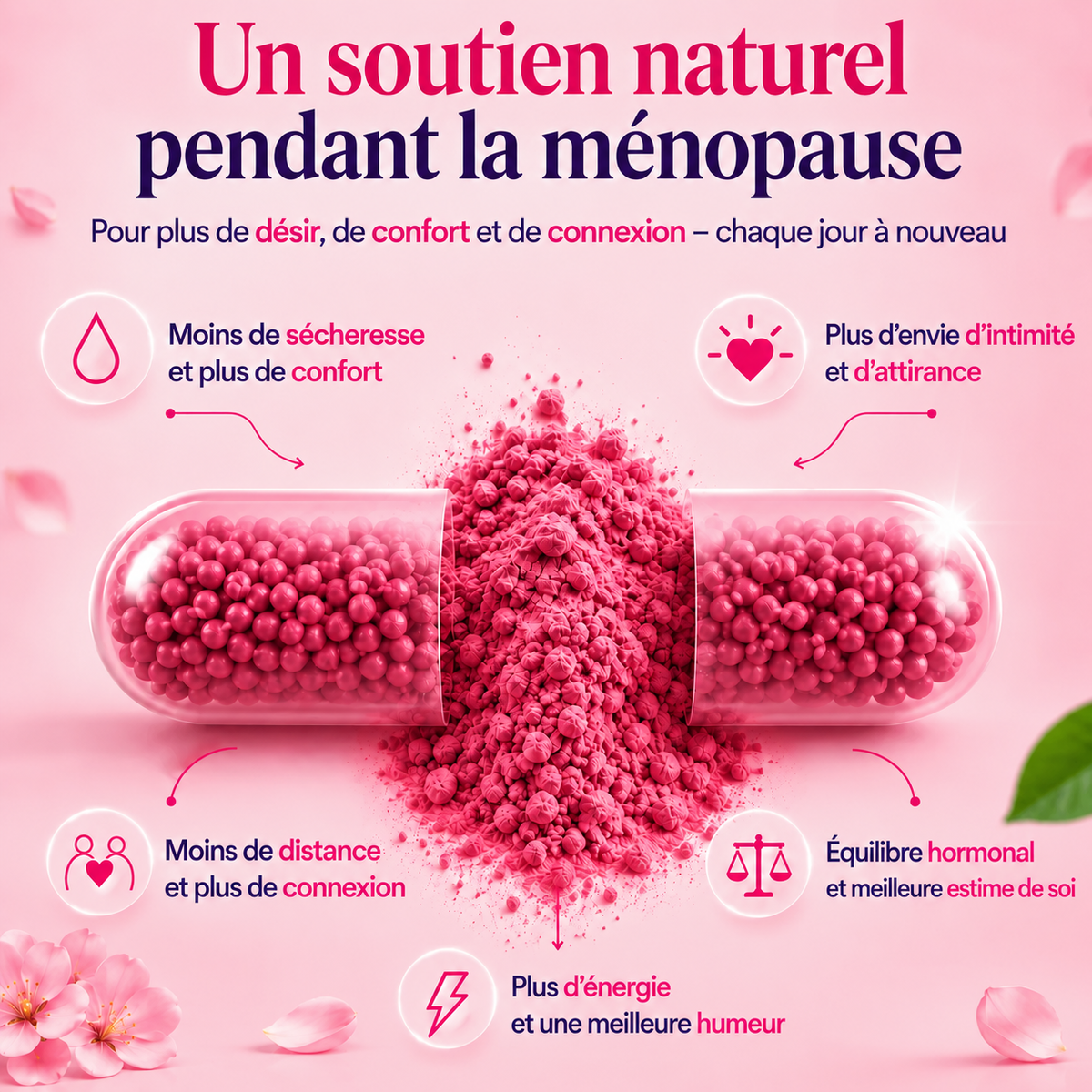 Capsules Ménopause