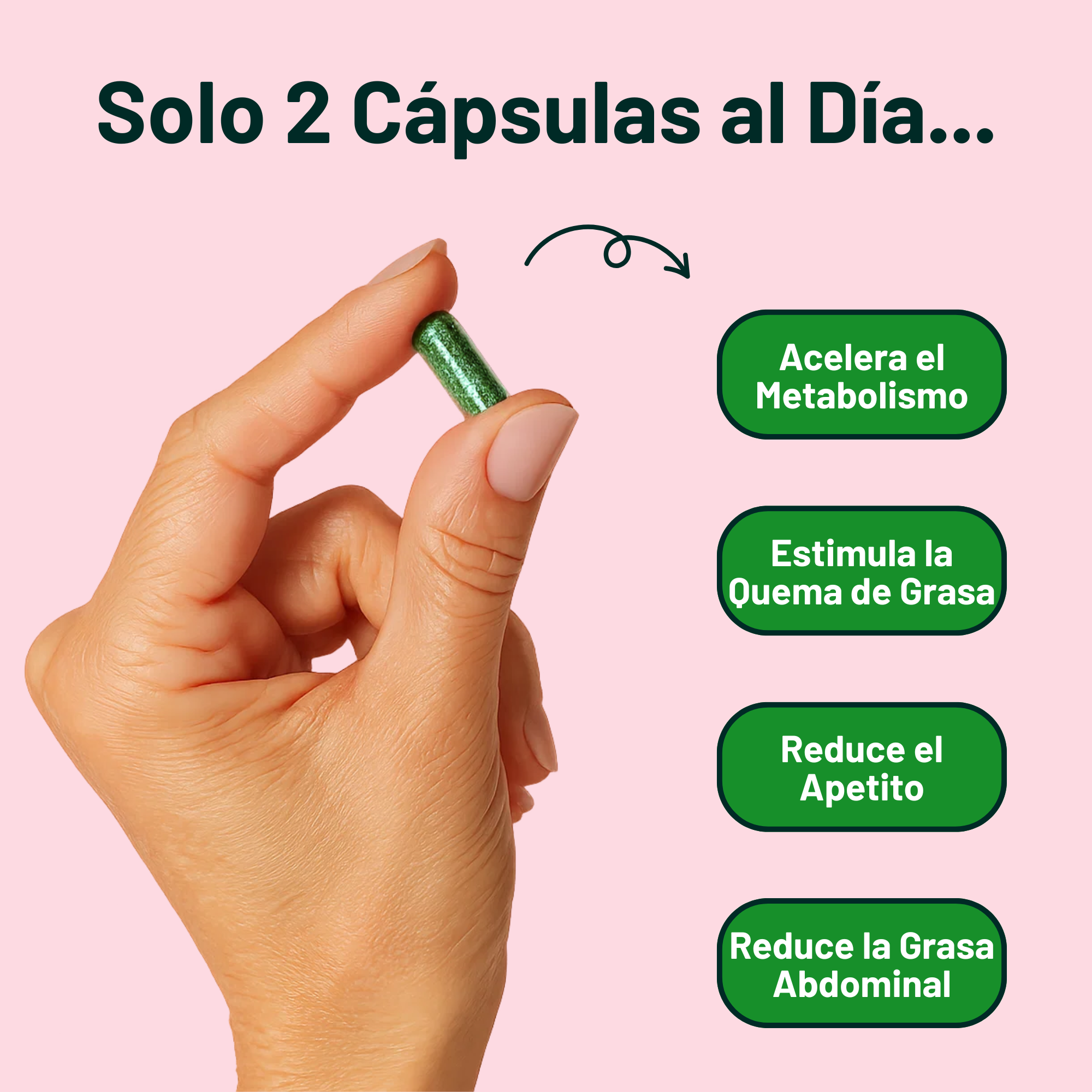 Cápsulas Motoburn Metabolismo