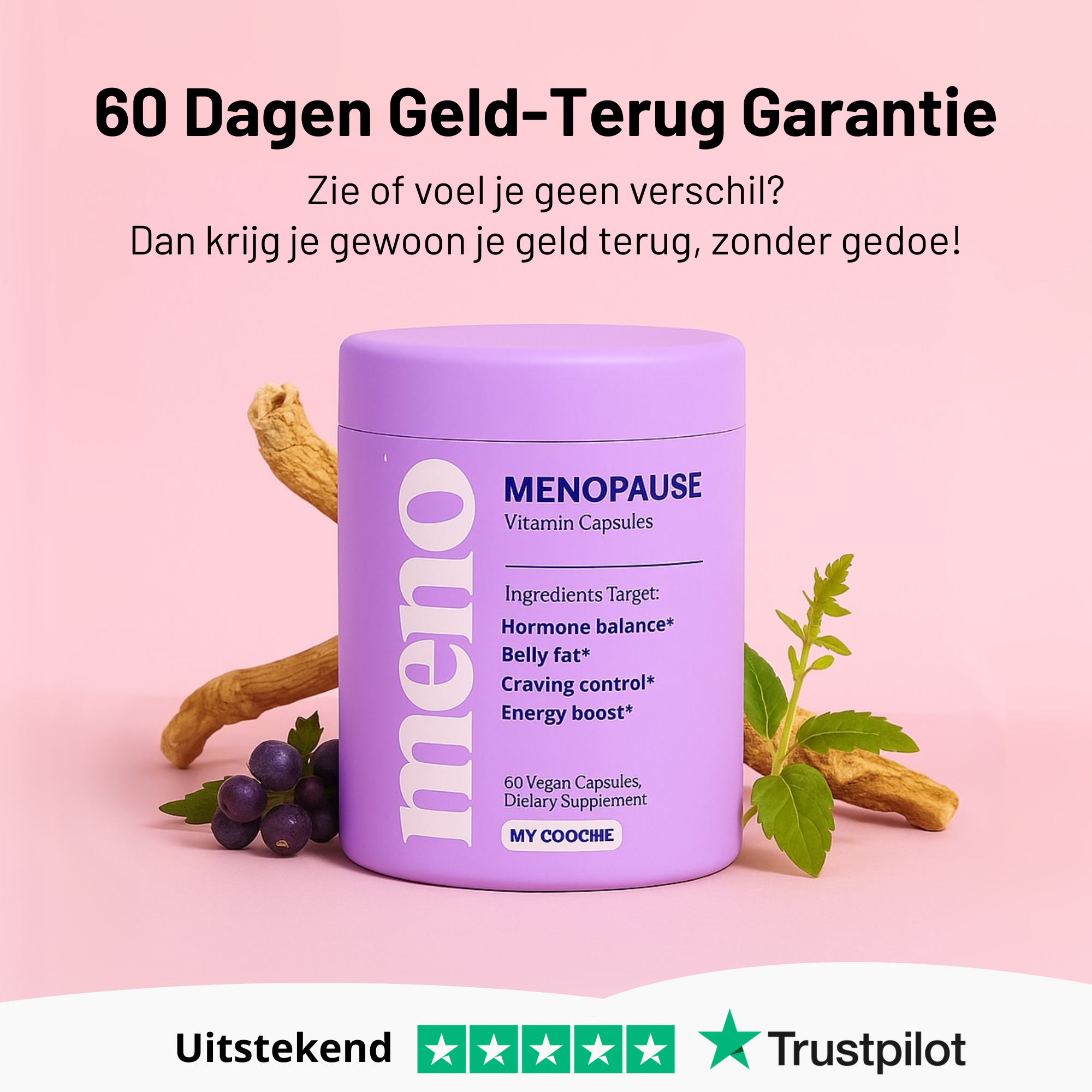 Wechseljahre Schlank Kapseln