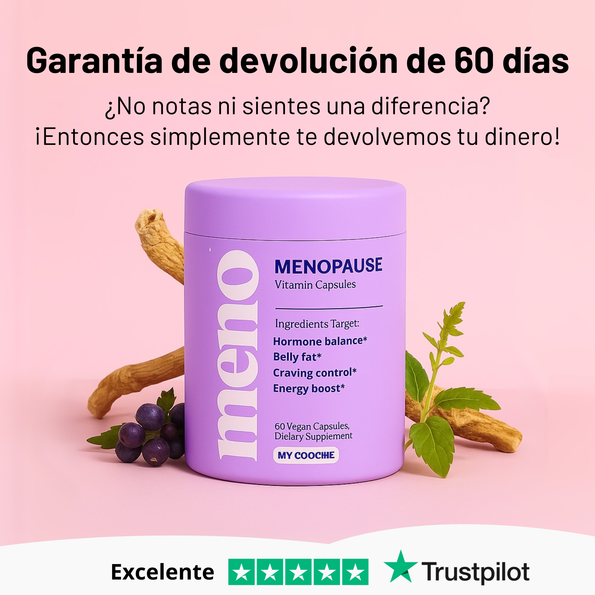 Cápsulas equilibrio menopausia