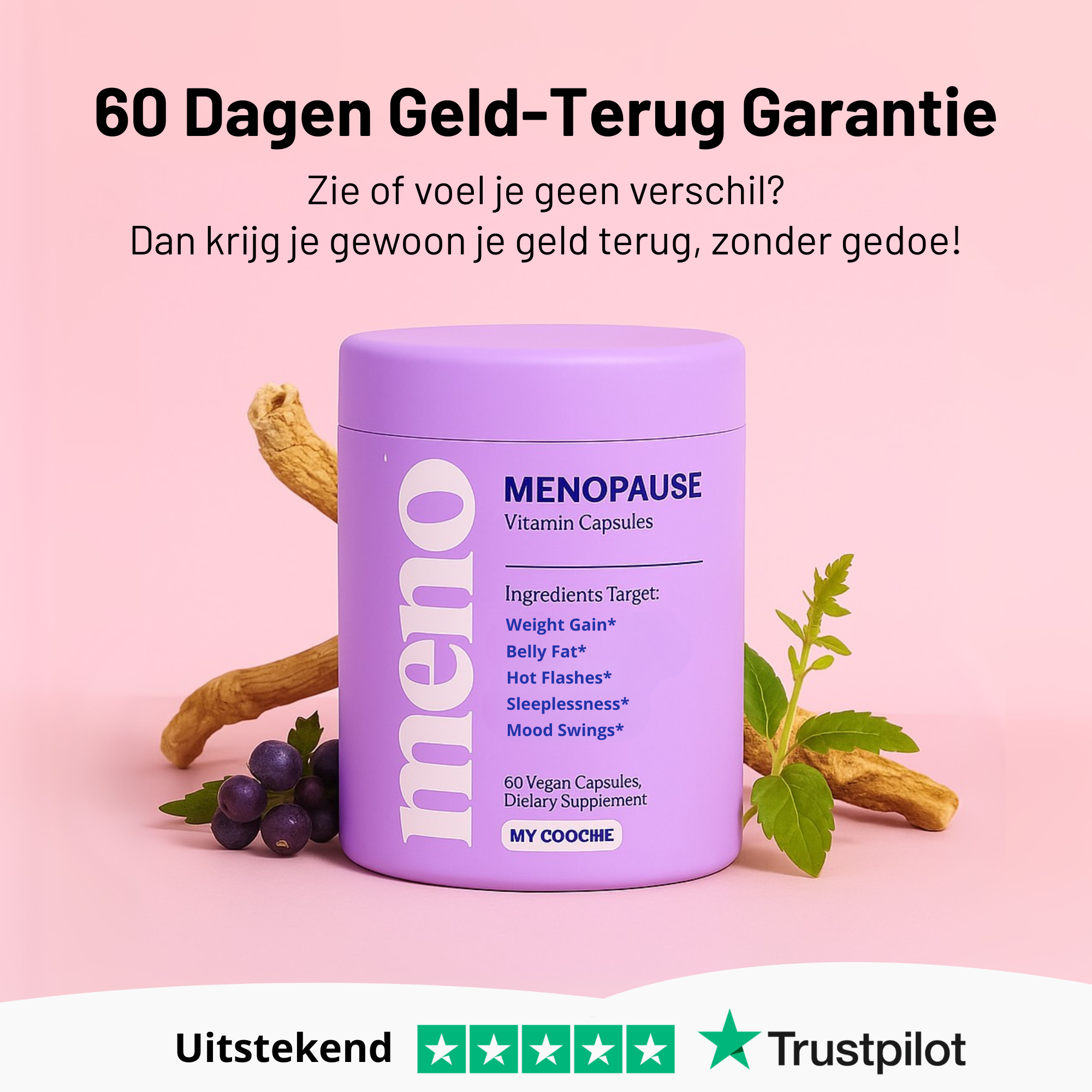 Wechseljahre Schlank Kapseln